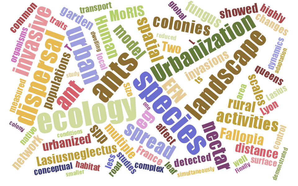 word cloud of ants